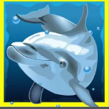 Символ игрового автомата Dolphins Pearl HD Дельфин