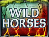 Символ игрового автомата Wild Horses Надпись