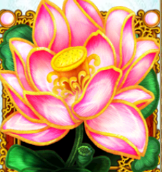 Символ игрового автомата Asian Attraction Скаттер
