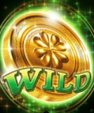 Символ игрового автомата Irish Coins Вайлд